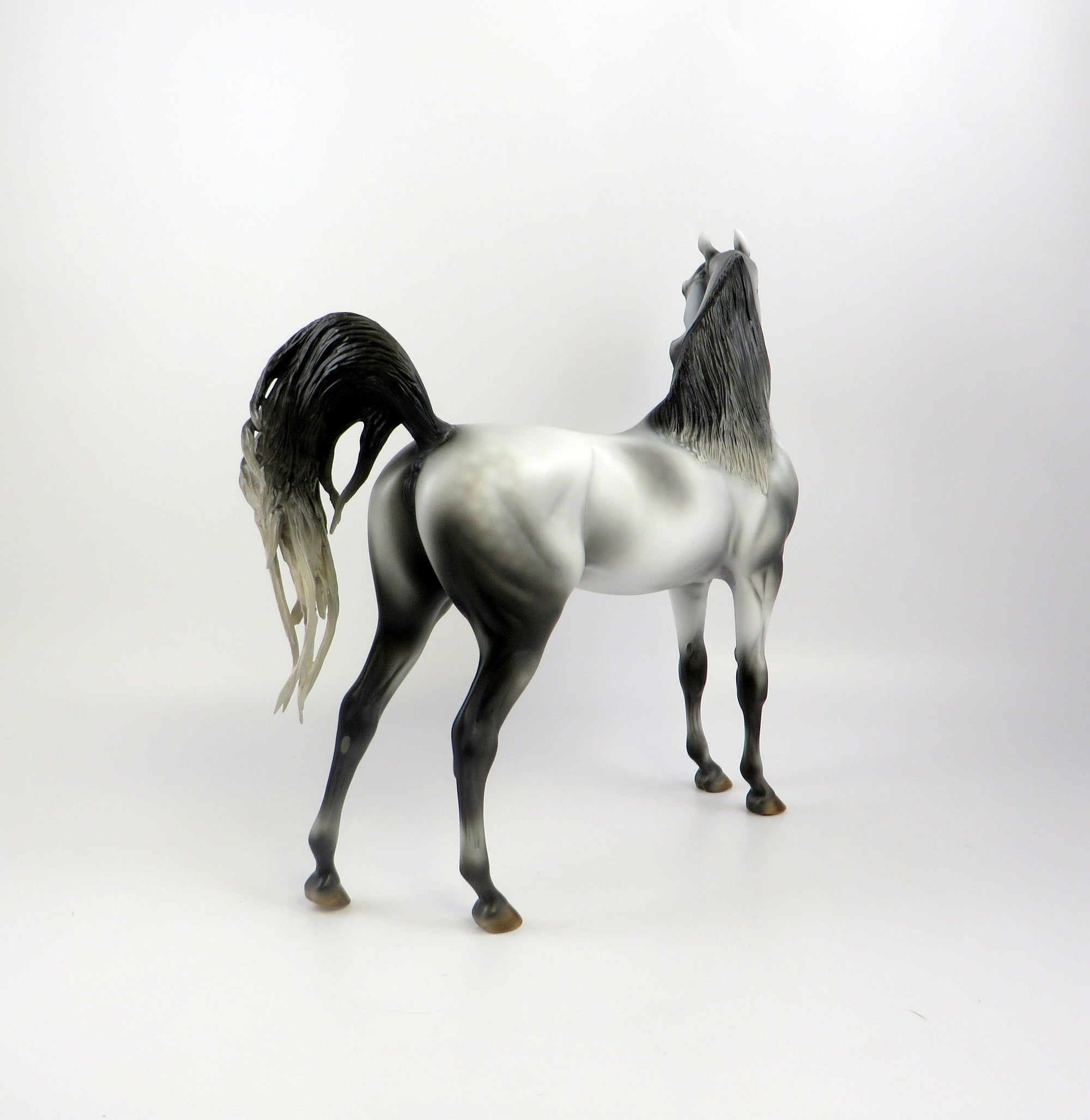 MORRIS-OOAK LIGHT DAPPLE GREY ARABIAN MODEL HORSE EQ 19