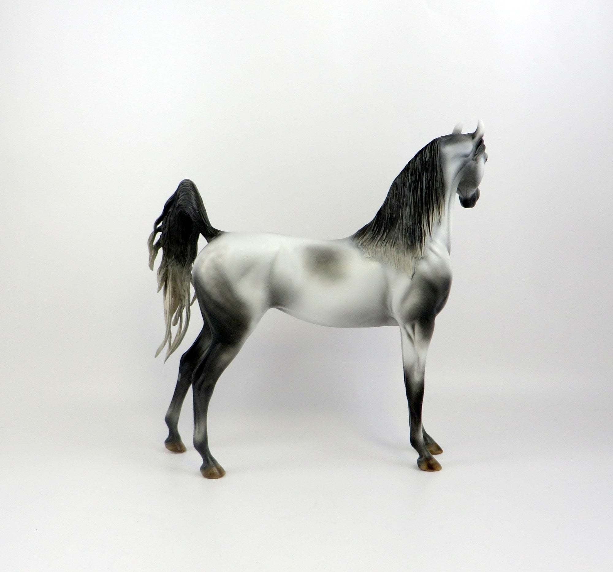 MORRIS-OOAK LIGHT DAPPLE GREY ARABIAN MODEL HORSE EQ 19