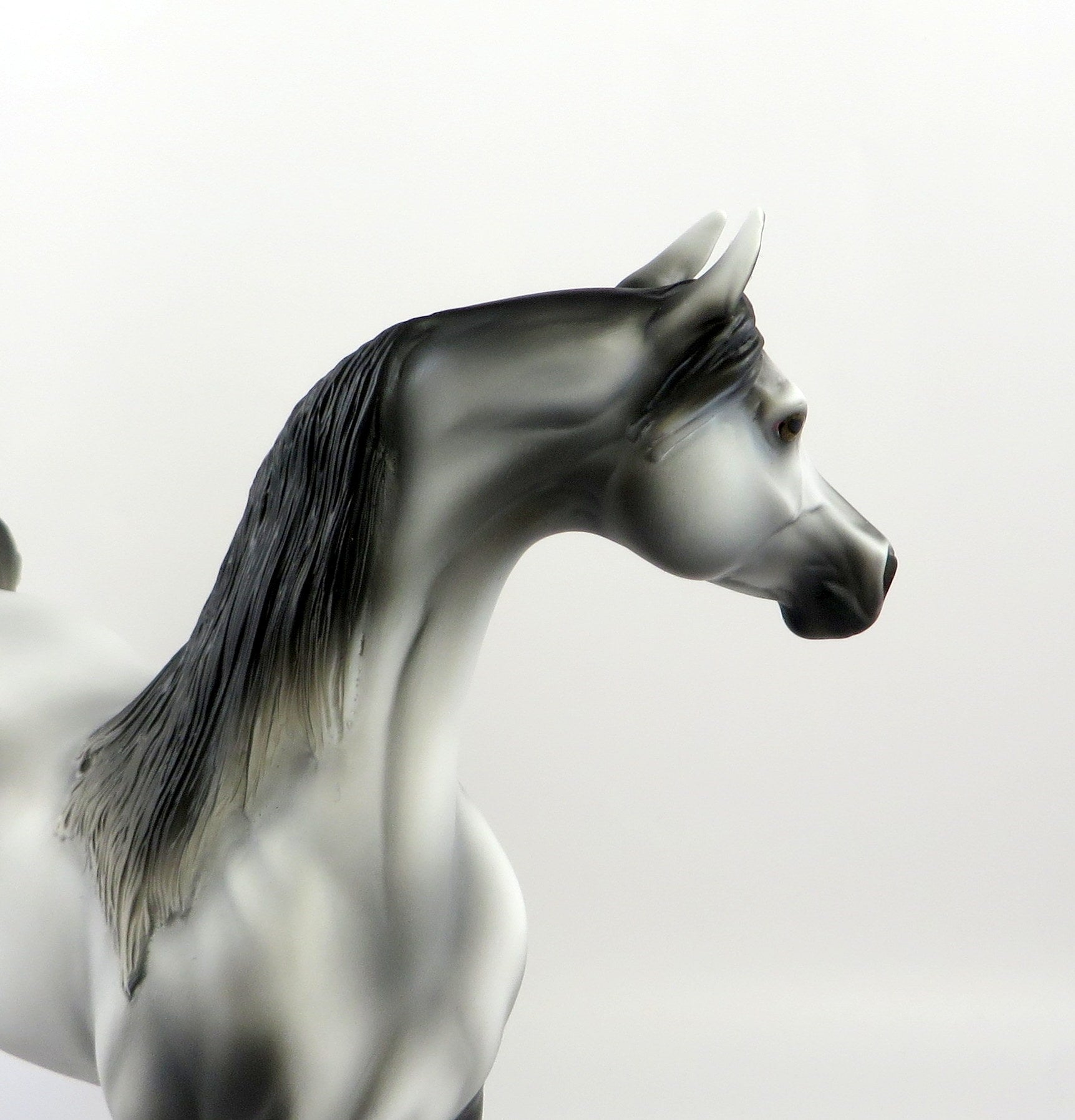 MORRIS-OOAK LIGHT DAPPLE GREY ARABIAN MODEL HORSE EQ 19