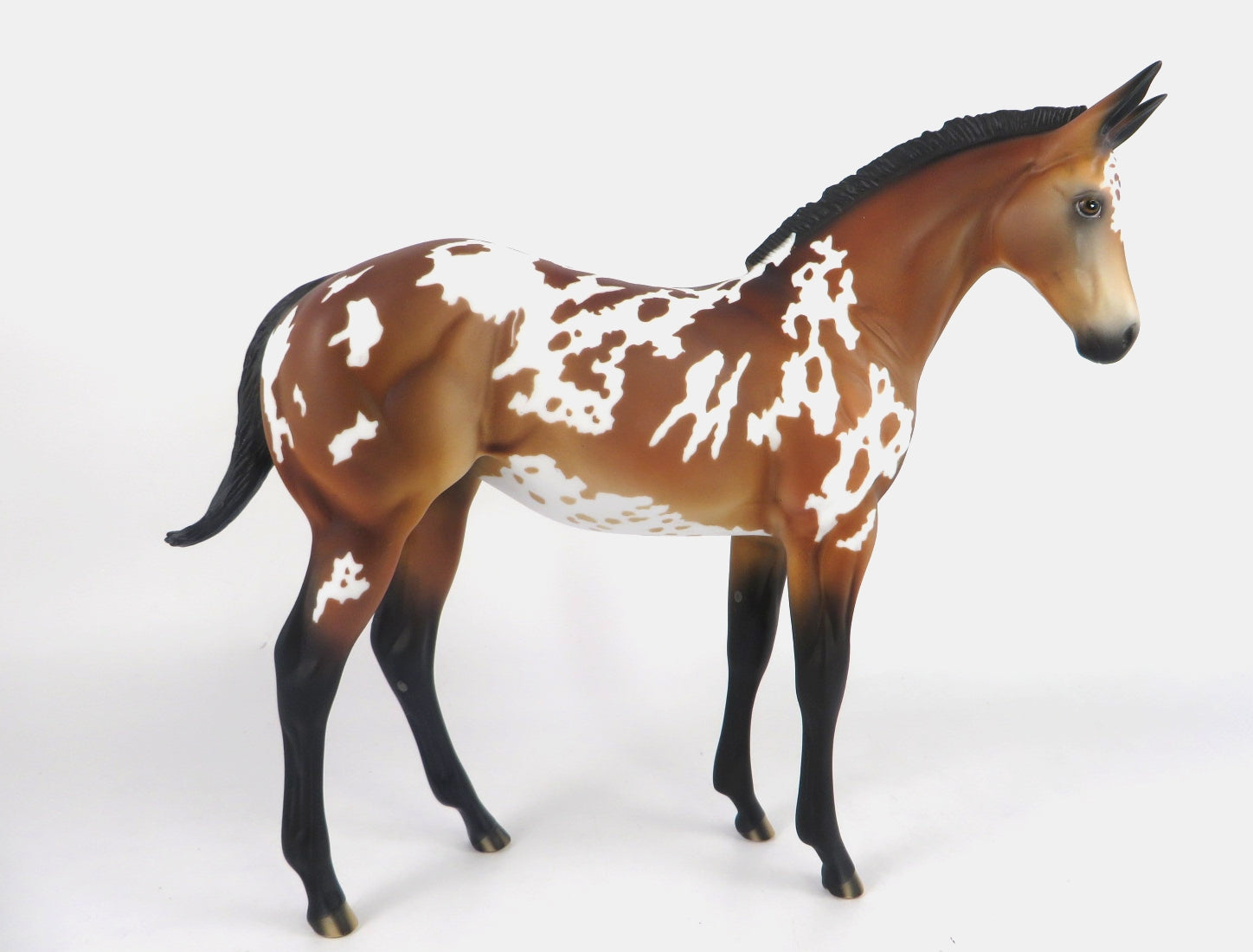 MOUSE KING- LE-? BAY APPY MULE CM WEANLING  BY AUDREY DIXON WHS19