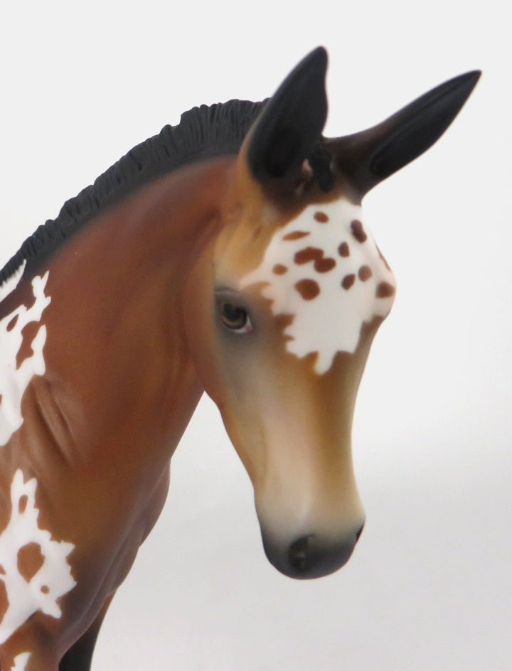 MOUSE KING- LE-? BAY APPY MULE CM WEANLING  BY AUDREY DIXON WHS19