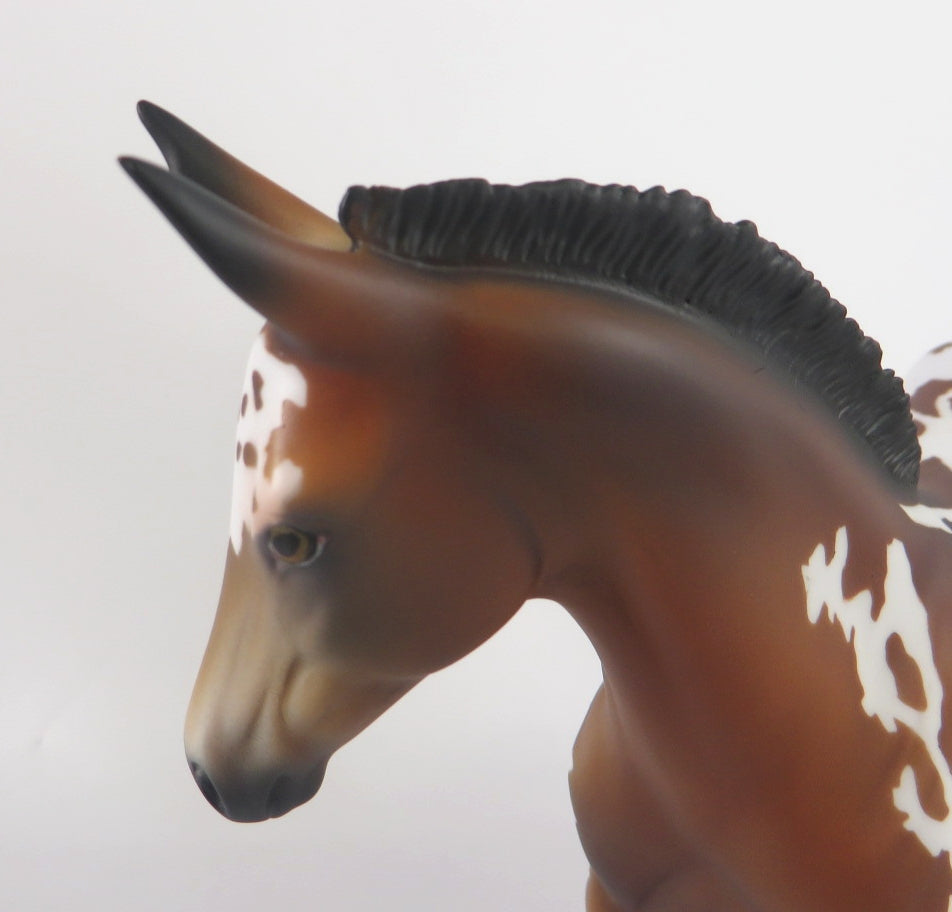 MOUSE KING- LE-? BAY APPY MULE CM WEANLING  BY AUDREY DIXON WHS19