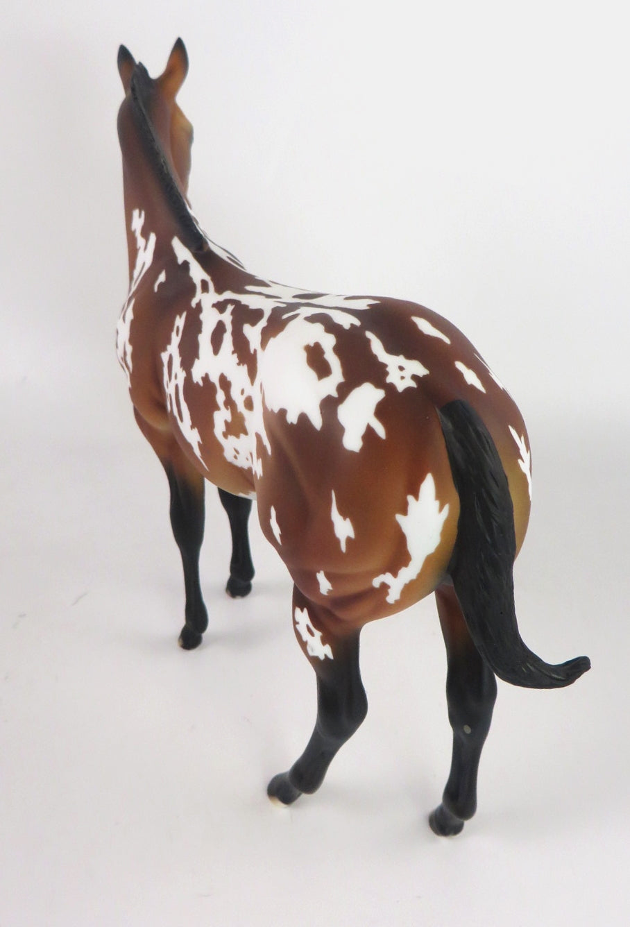 MOUSE KING- LE-? BAY APPY MULE CM WEANLING  BY AUDREY DIXON WHS19