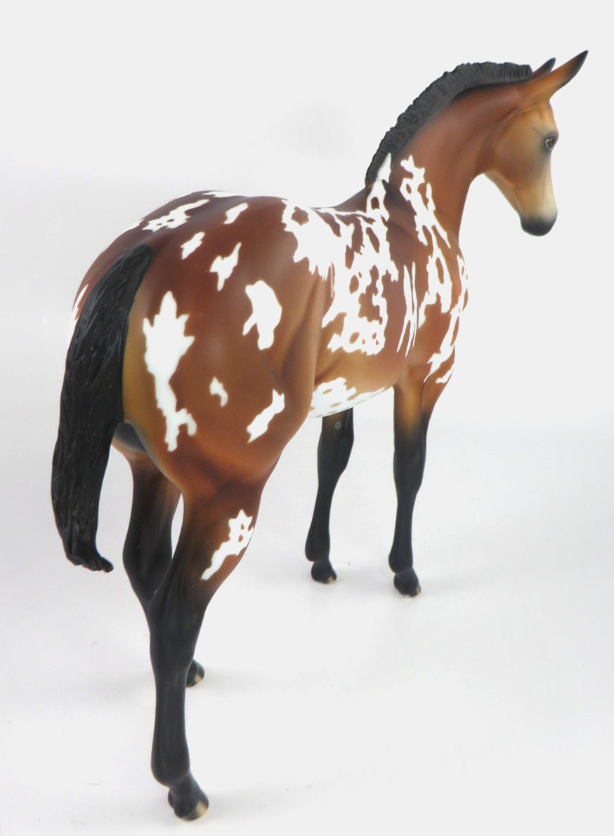 MOUSE KING- LE-? BAY APPY MULE CM WEANLING  BY AUDREY DIXON WHS19