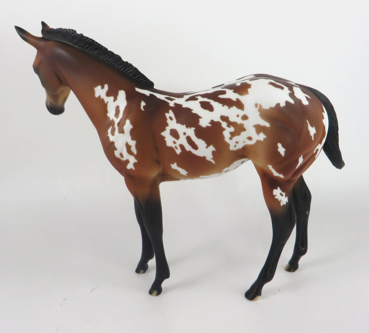 MOUSE KING- LE-? BAY APPY MULE CM WEANLING  BY AUDREY DIXON WHS19