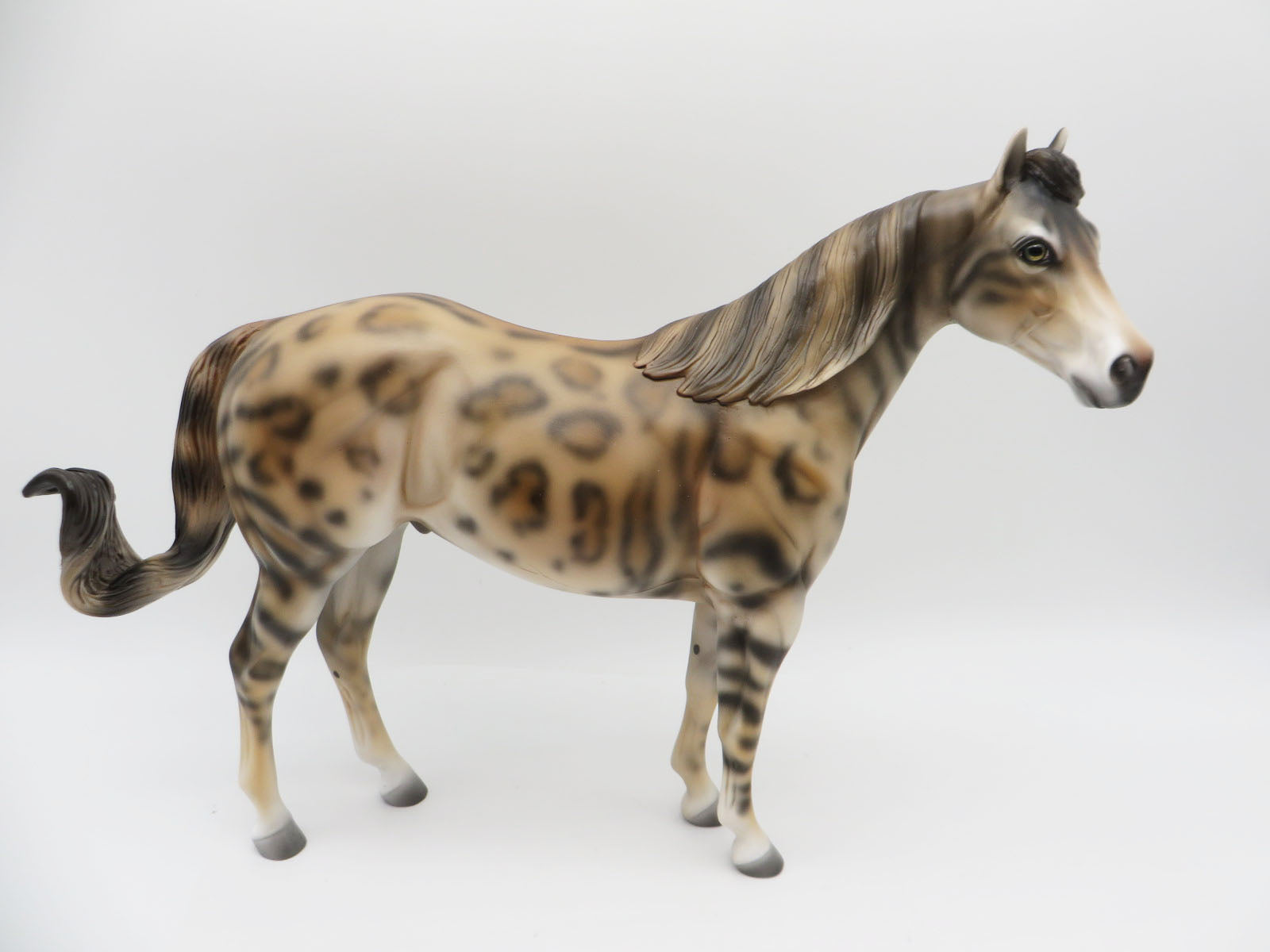 Mowgli -LE-3 Bengal ISH By Jess Hamill - Paws & Claws 2023 - P&C 23