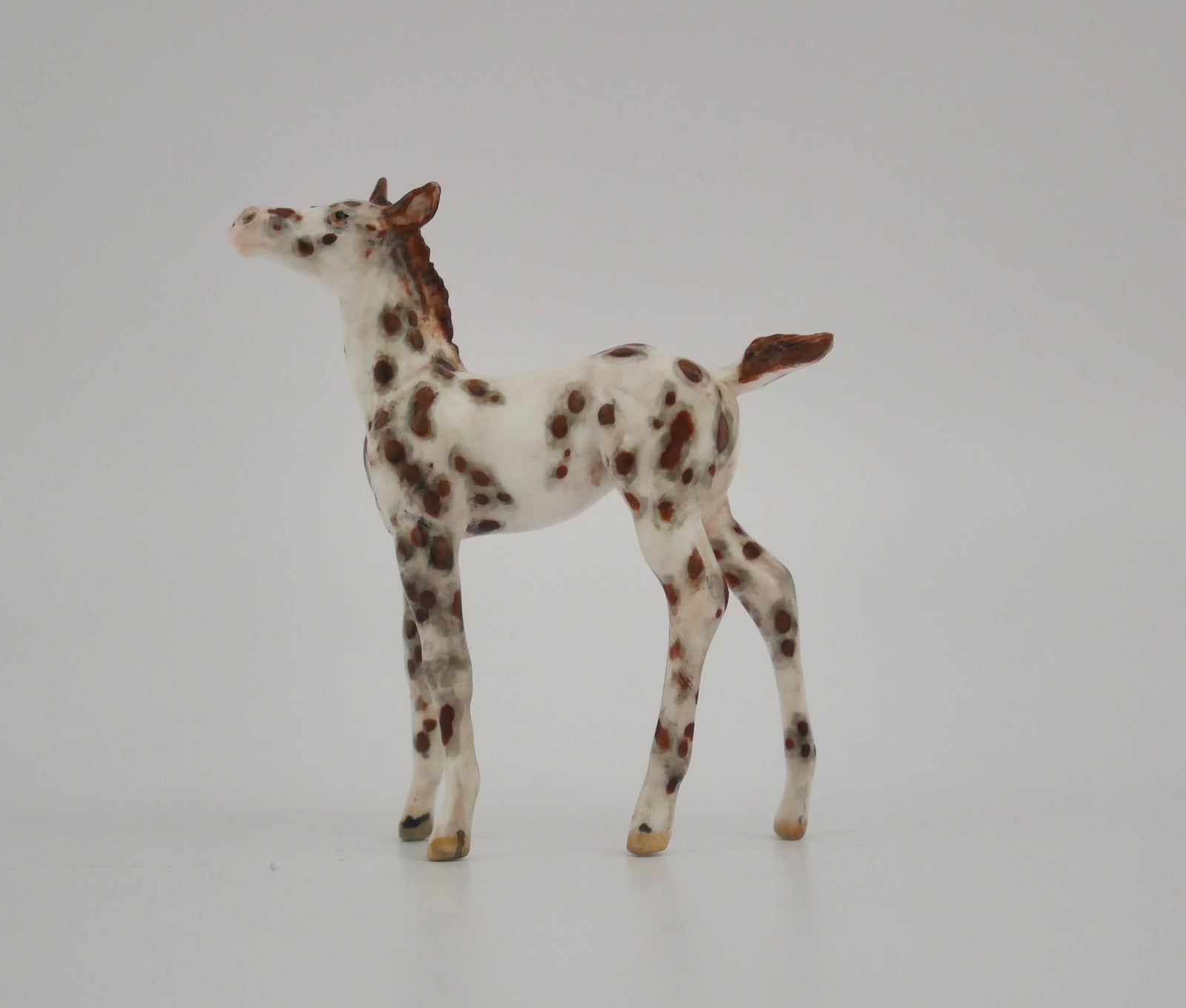 MUDDLETRIX -OOAK CHESTNUT LEOPARD APPALOOSA FOAL BY ANDREA
