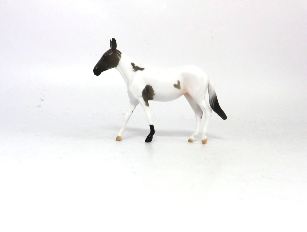 HAILMARY- OOAK GREY PINTO MULE  BY AUDREY DIXON SB19