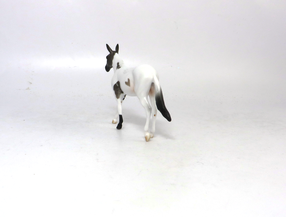 HAILMARY- OOAK GREY PINTO MULE  BY AUDREY DIXON SB19