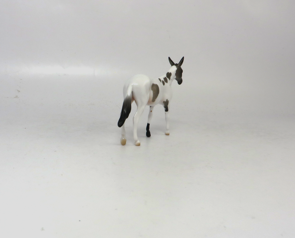 HAILMARY- OOAK GREY PINTO MULE  BY AUDREY DIXON SB19