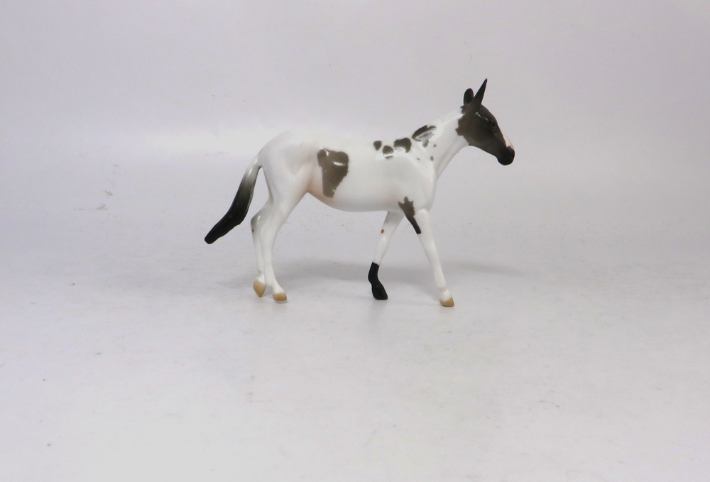 HAILMARY- OOAK GREY PINTO MULE  BY AUDREY DIXON SB19