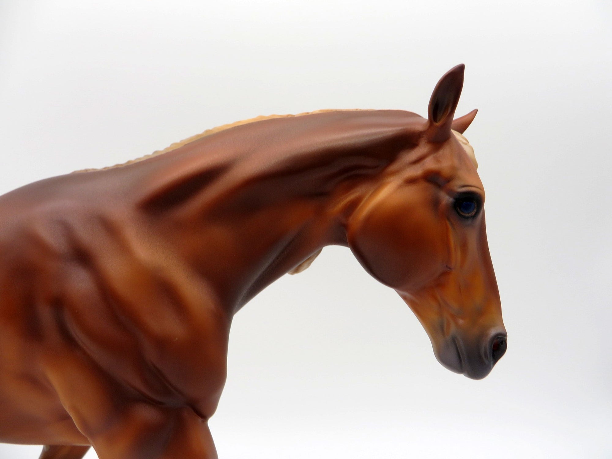 Murray- OOAK Dapple Chestnut Running Stock Horse Painted By Caroline Boydston