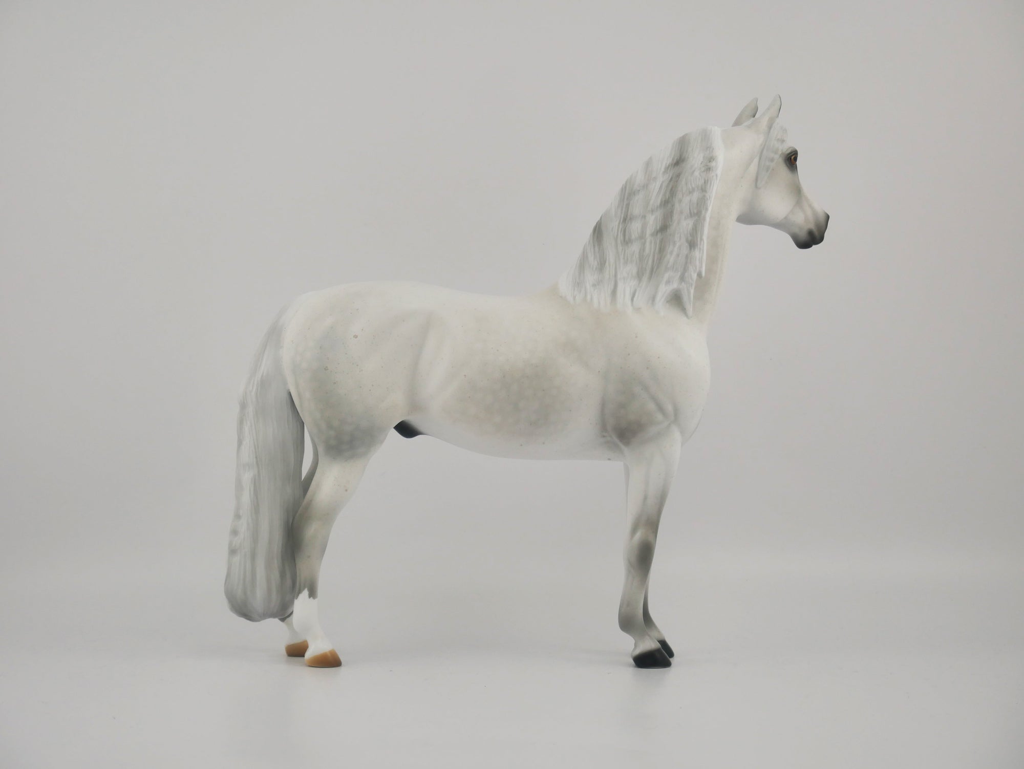 MUSLIN-OOAK DAPPLE GREY MORGAN BY AUDREY DIXON