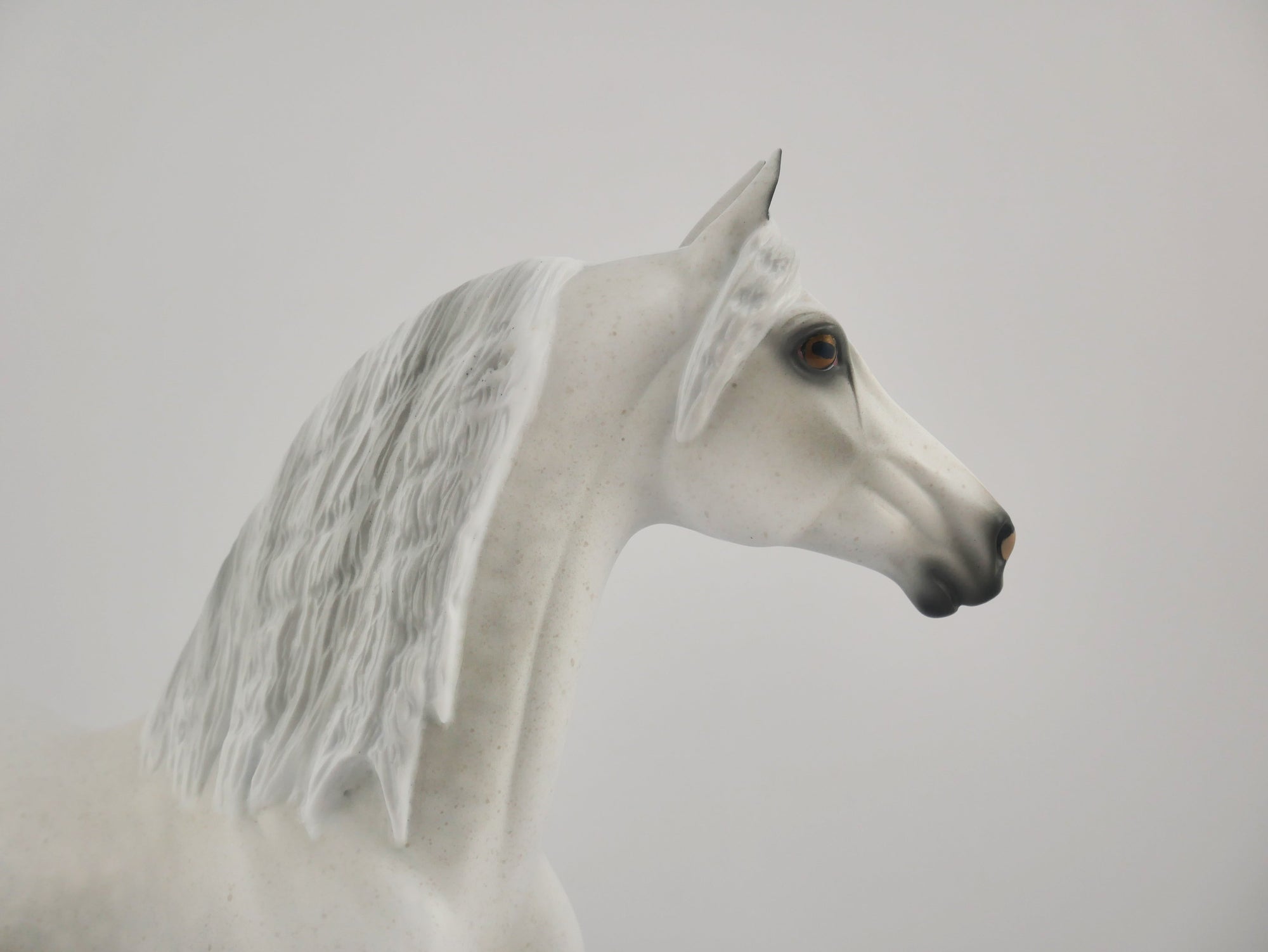 MUSLIN-OOAK DAPPLE GREY MORGAN BY AUDREY DIXON