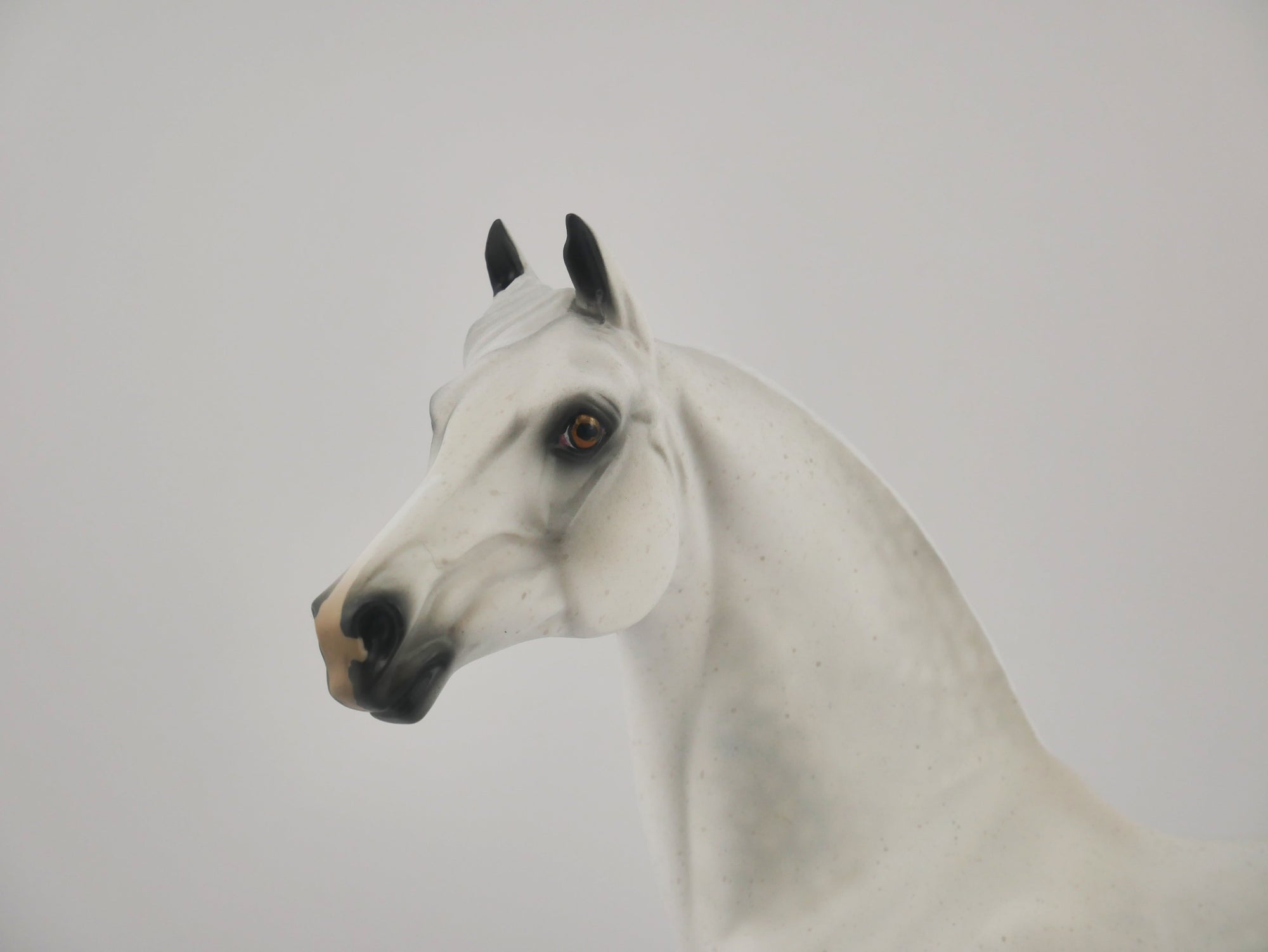 MUSLIN-OOAK DAPPLE GREY MORGAN BY AUDREY DIXON