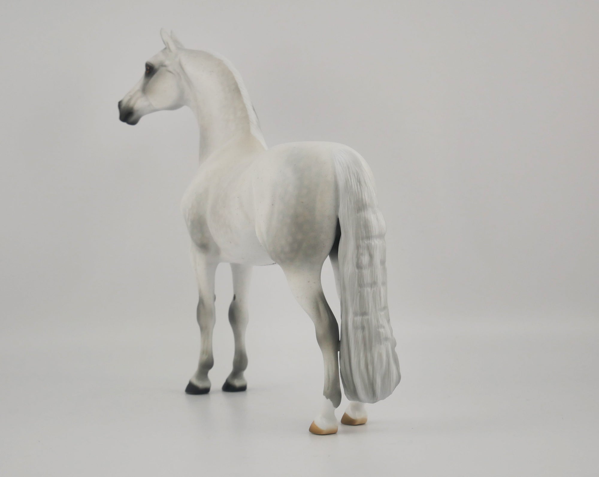 MUSLIN-OOAK DAPPLE GREY MORGAN BY AUDREY DIXON