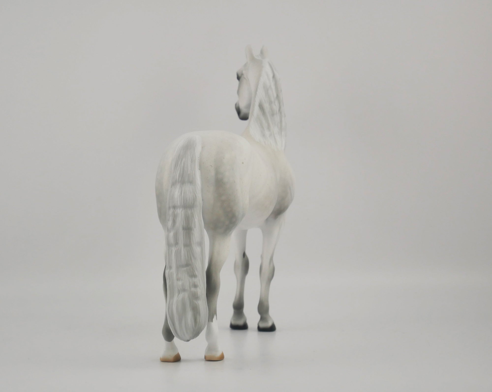 MUSLIN-OOAK DAPPLE GREY MORGAN BY AUDREY DIXON