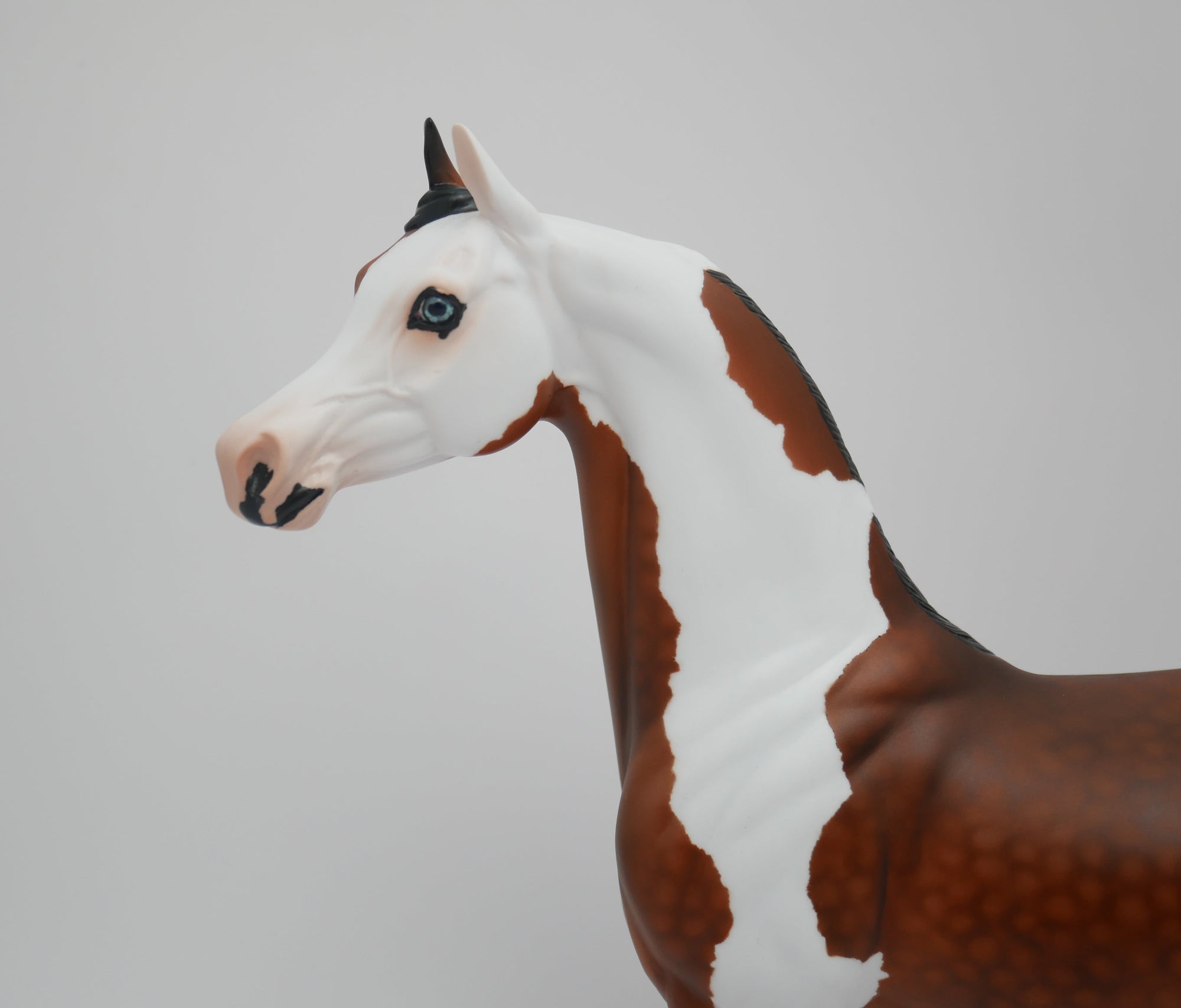 MUSTACHE-OOAK STAR DAPPLE BAY PAINT ARABIAN MODEL HORSE BY AUDREY DIXON  3/13/20