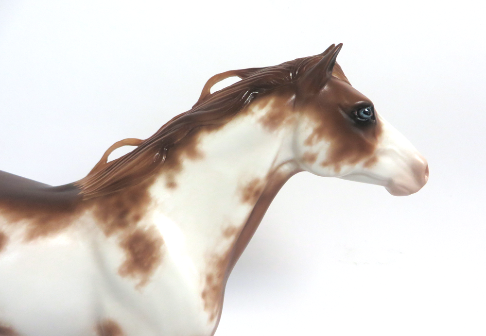 TONKA- OOAK CHESTNUT SABINO MUSTANG BY SHERYL LEISURE 3-15-19