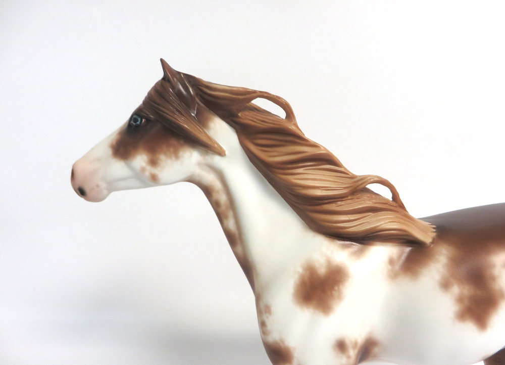 TONKA- OOAK CHESTNUT SABINO MUSTANG BY SHERYL LEISURE 3-15-19