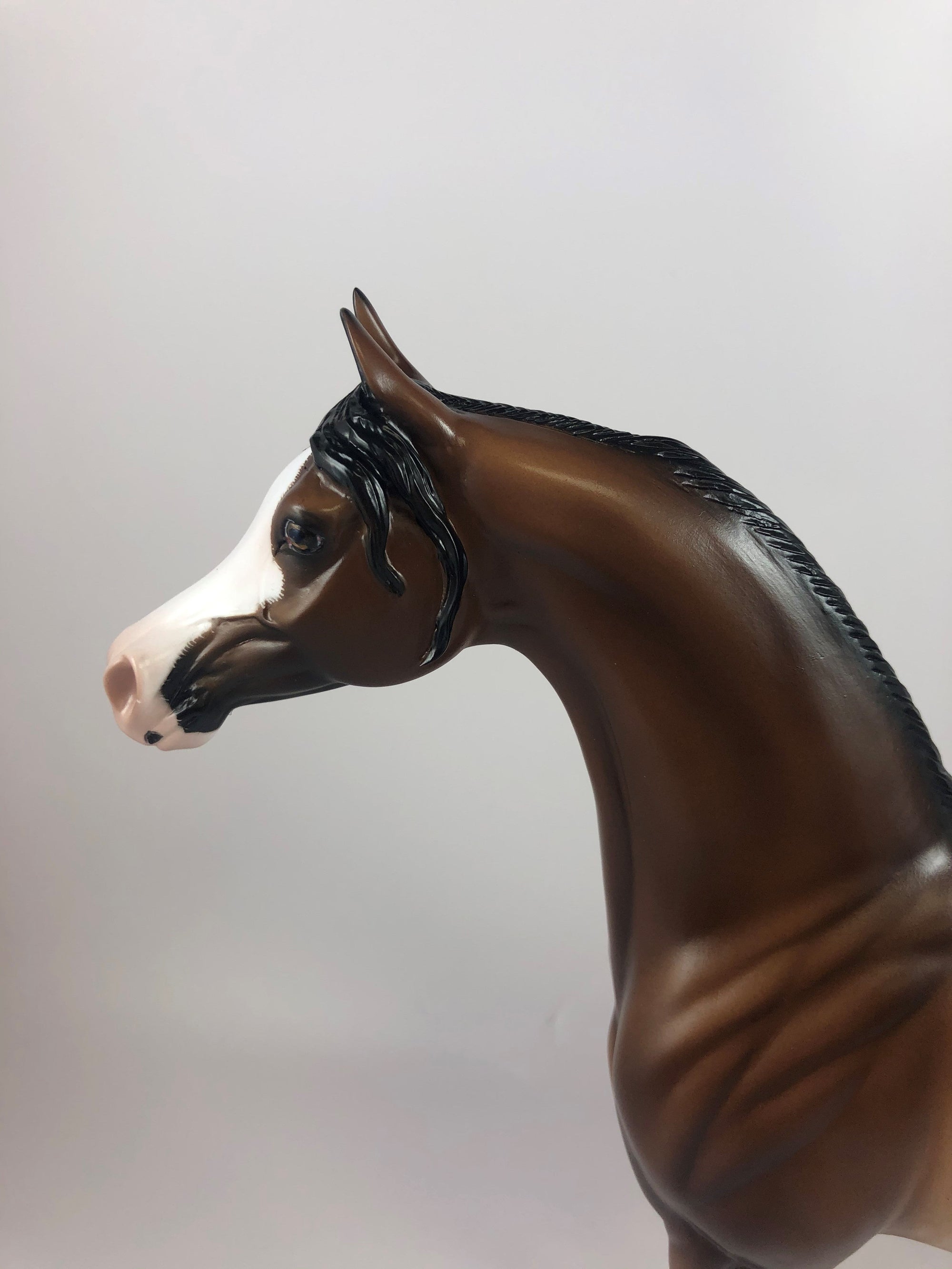 NETHERWORLD - OOAK BAY RABICANO ARABIAN MODEL HORSE BY SHERYL LEISURE LHS 19