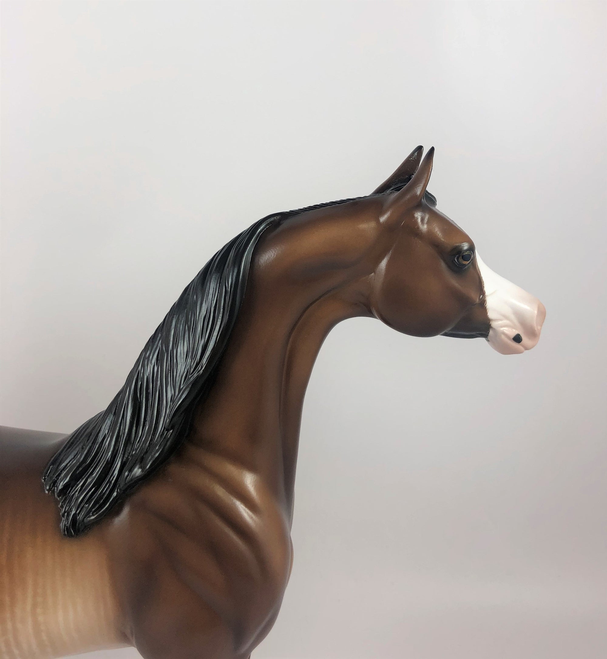 NETHERWORLD - OOAK BAY RABICANO ARABIAN MODEL HORSE BY SHERYL LEISURE LHS 19