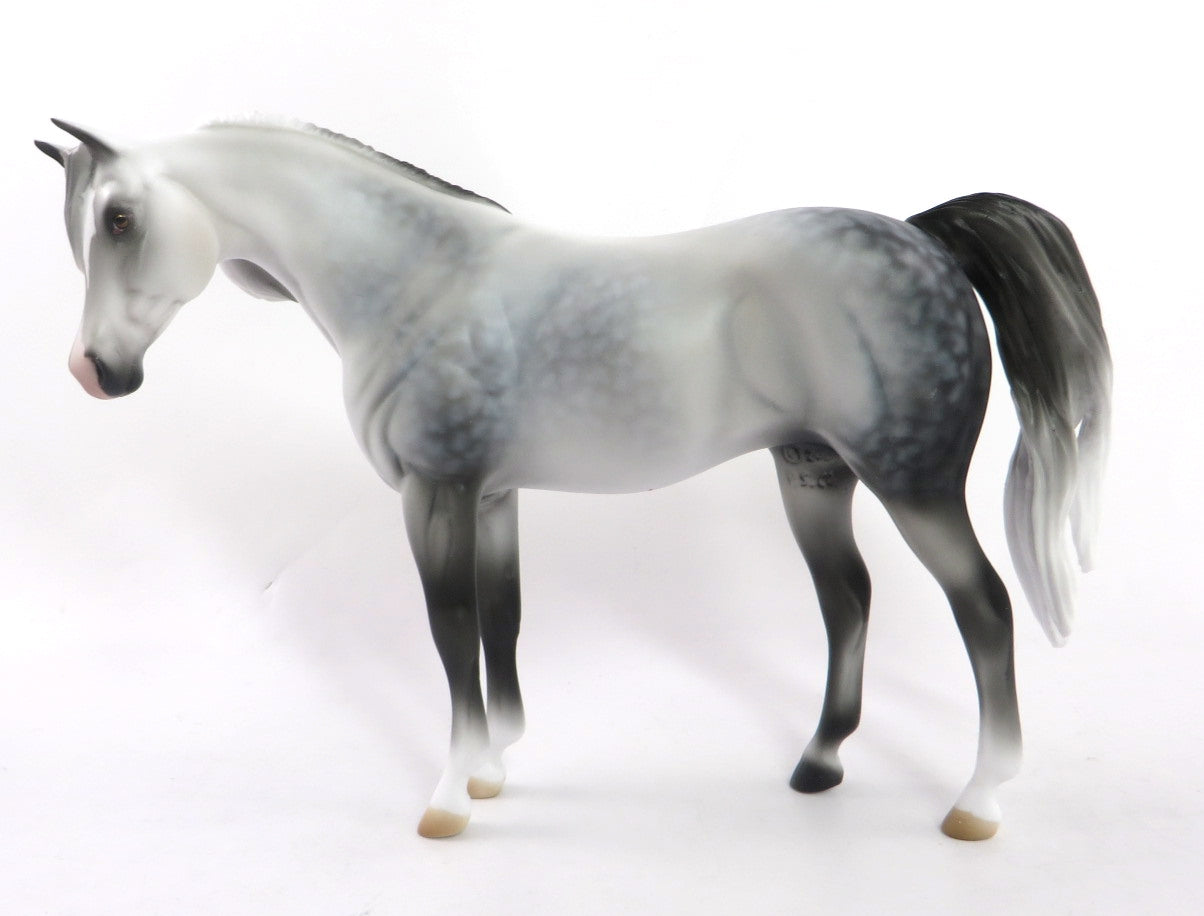NEVE - OOAK -- DAPPLE GRAY ARABIAN PEBBLE BY AUDREY DIXON WHS 19