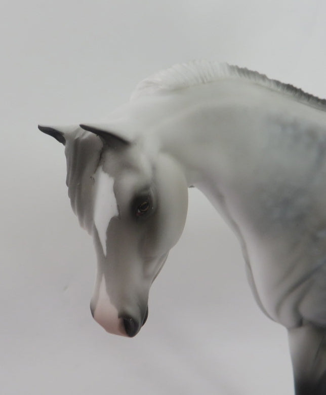 NEVE - OOAK -- DAPPLE GRAY ARABIAN PEBBLE BY AUDREY DIXON WHS 19