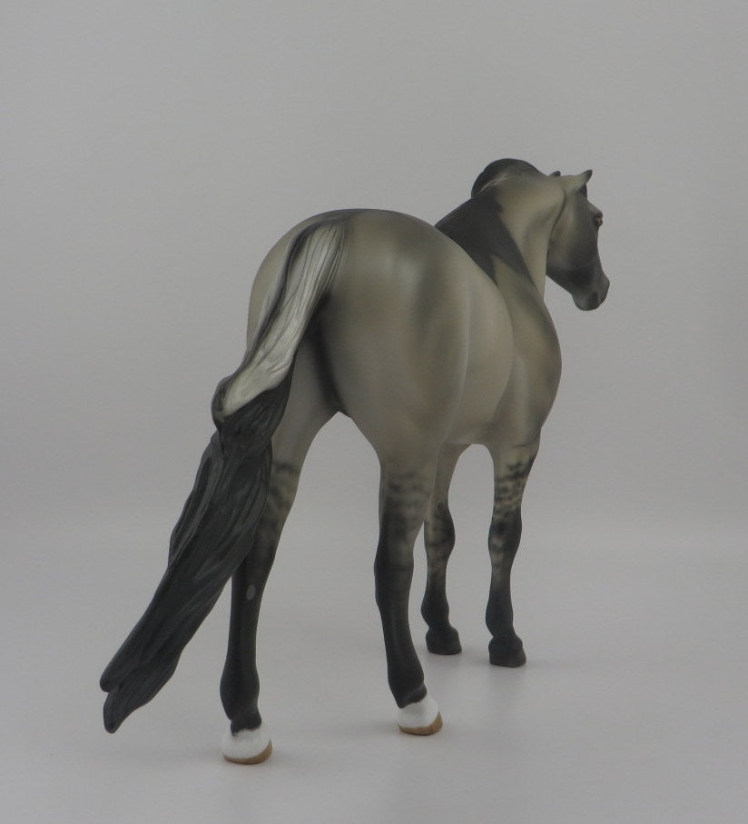 Night Hawke-OOAK Dun Spanish Mustang EQ 2020