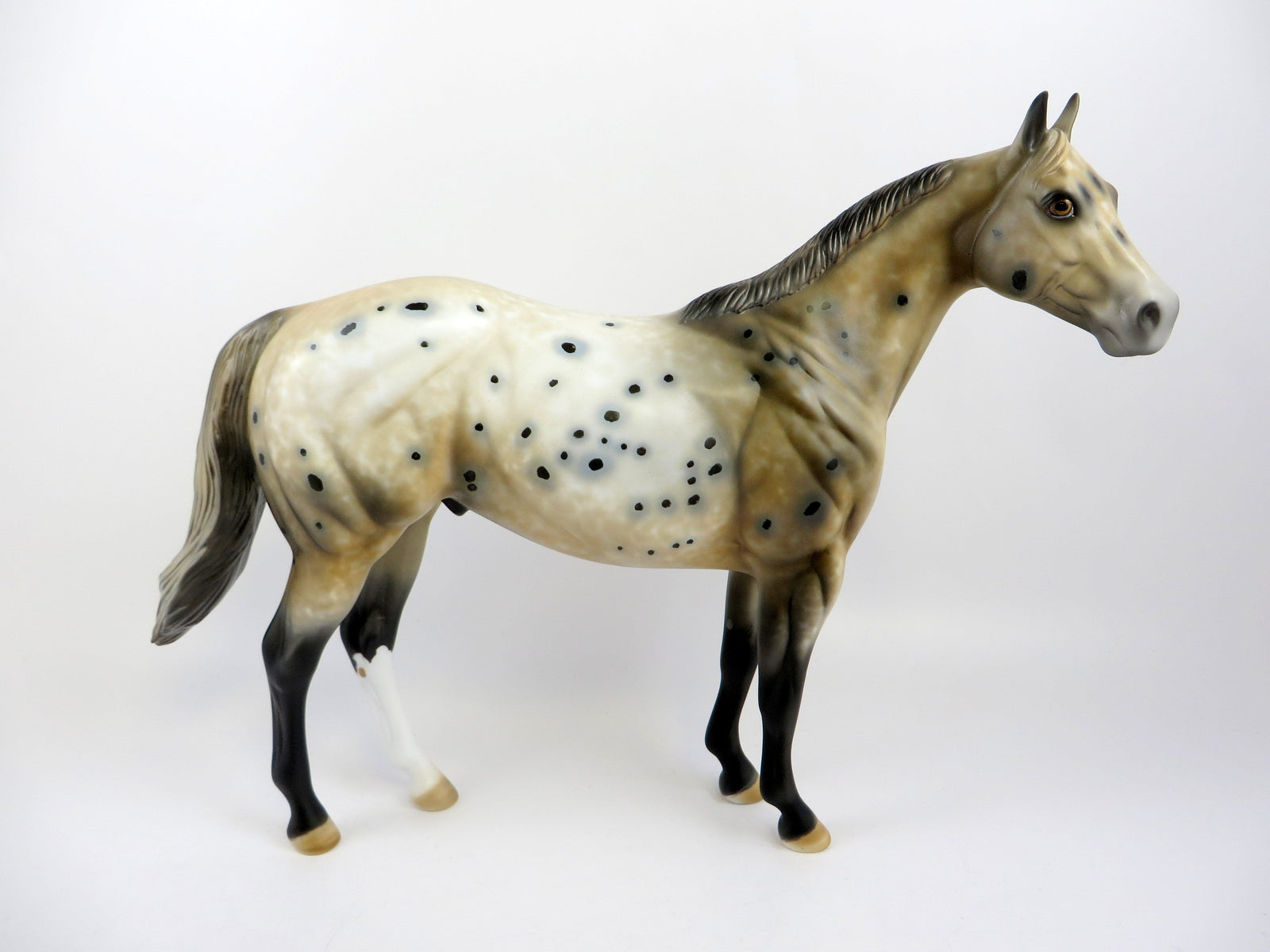 NICHOL-OOAK BUCKSKIN APPALOOSA MODEL HORSE EQ 19