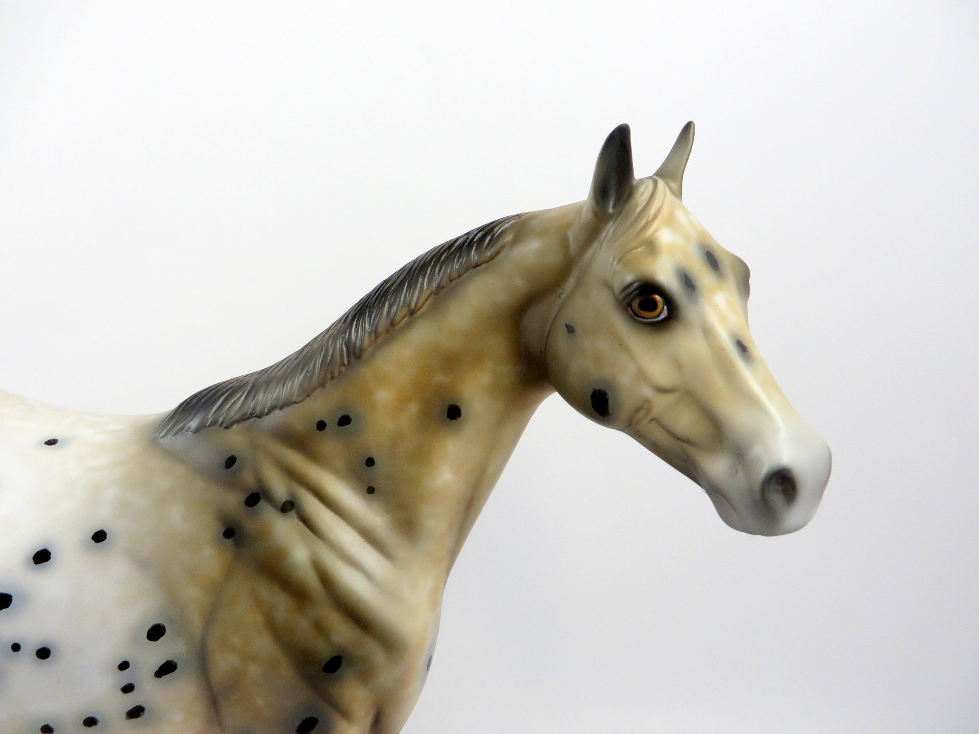 NICHOL-OOAK BUCKSKIN APPALOOSA MODEL HORSE EQ 19
