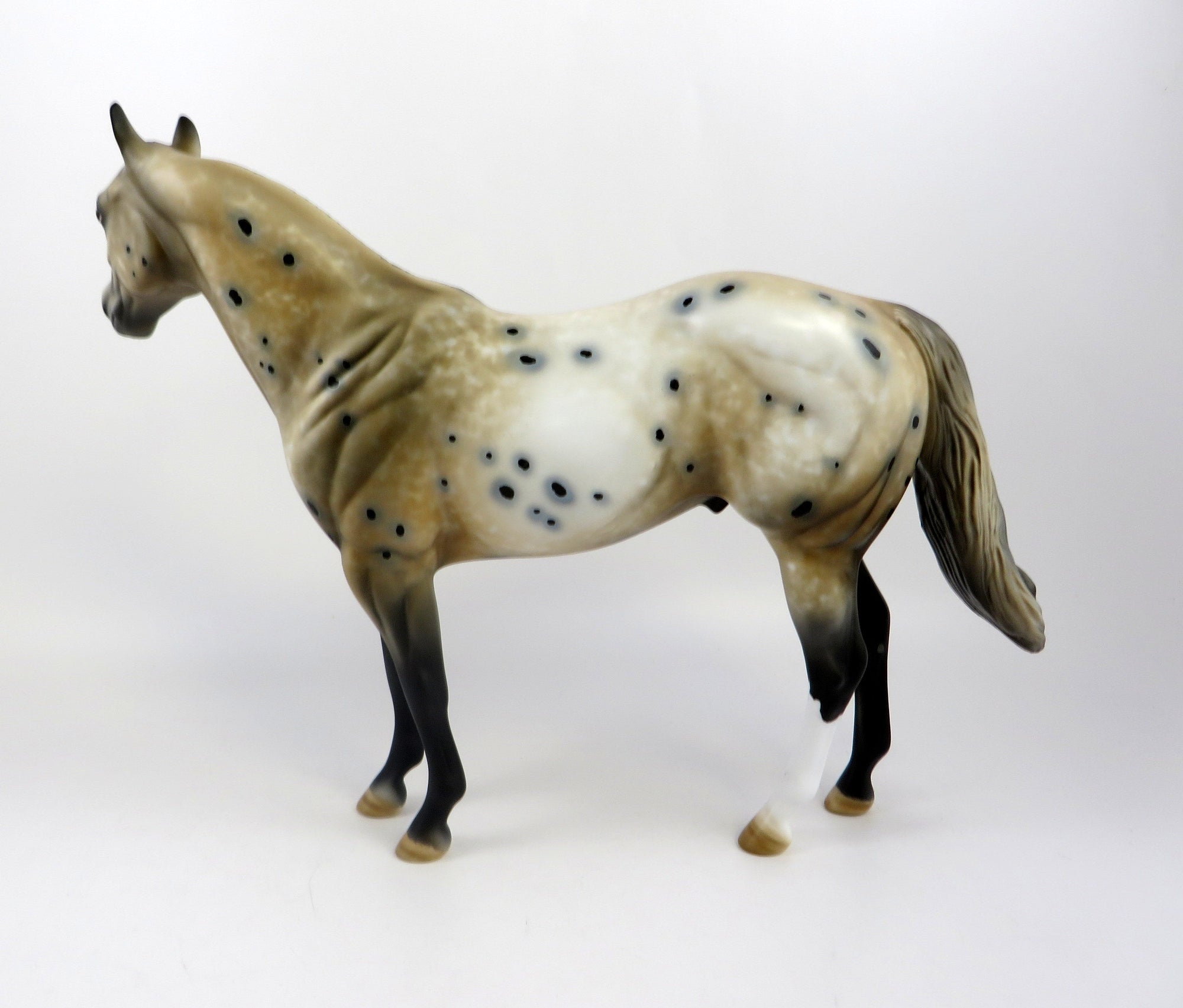 NICHOL-OOAK BUCKSKIN APPALOOSA MODEL HORSE EQ 19