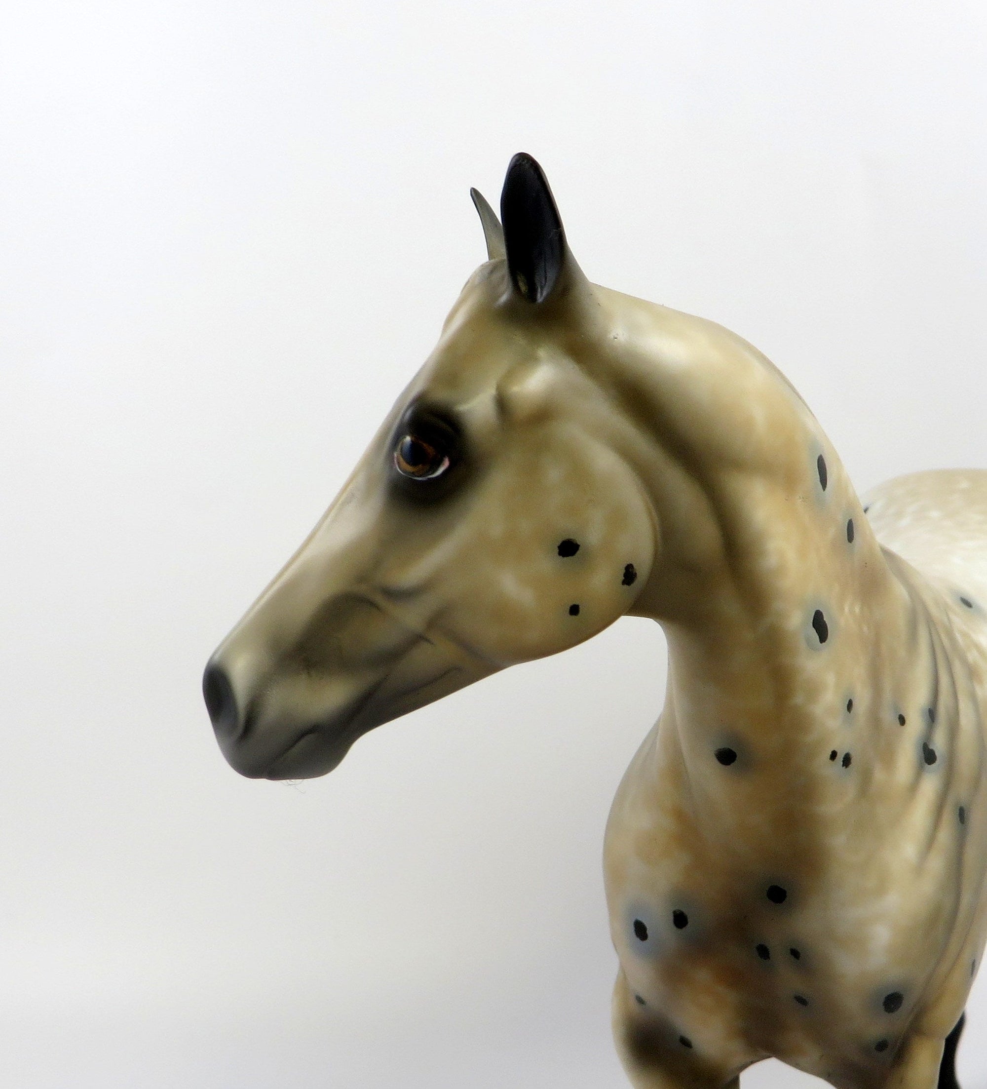 NICHOL-OOAK BUCKSKIN APPALOOSA MODEL HORSE EQ 19