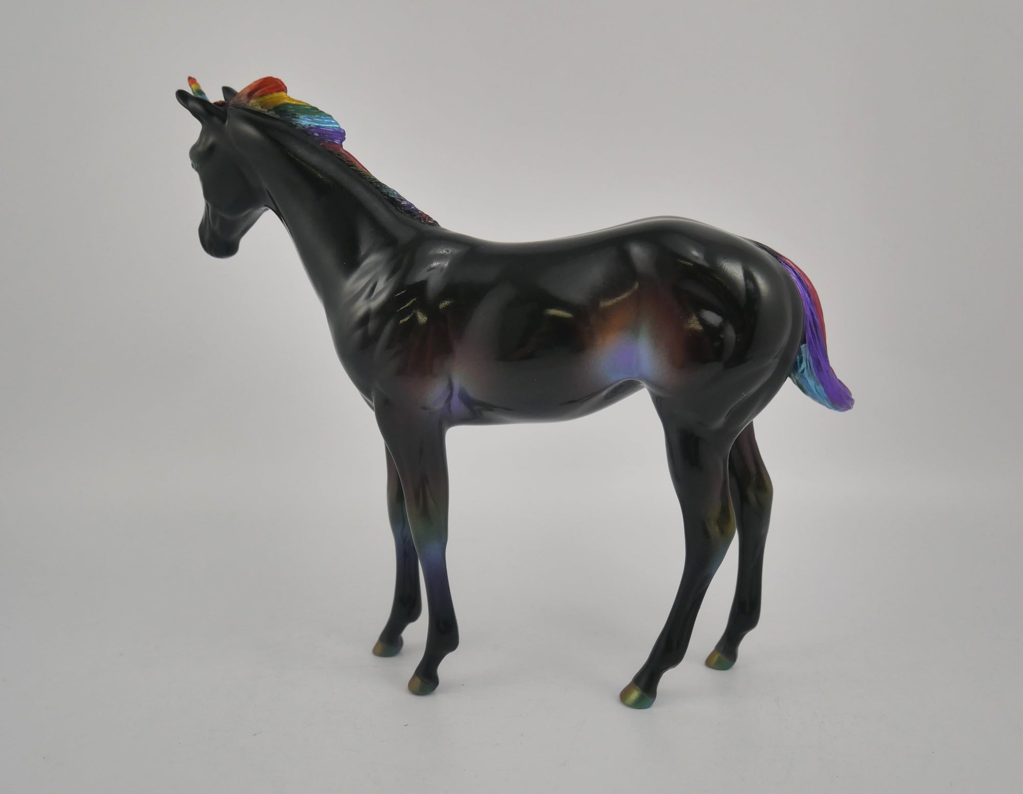 NIGHT RAINBOW-OOAK DECORATOR WEANLING EQ 2020
