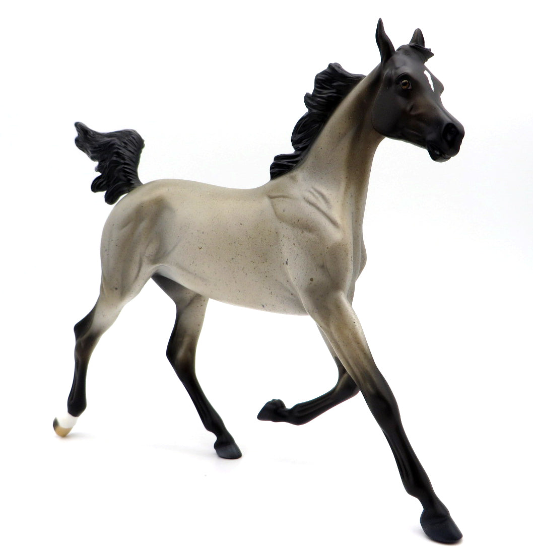 Nightshade - Blue Roan Arabian Yearling by Madison