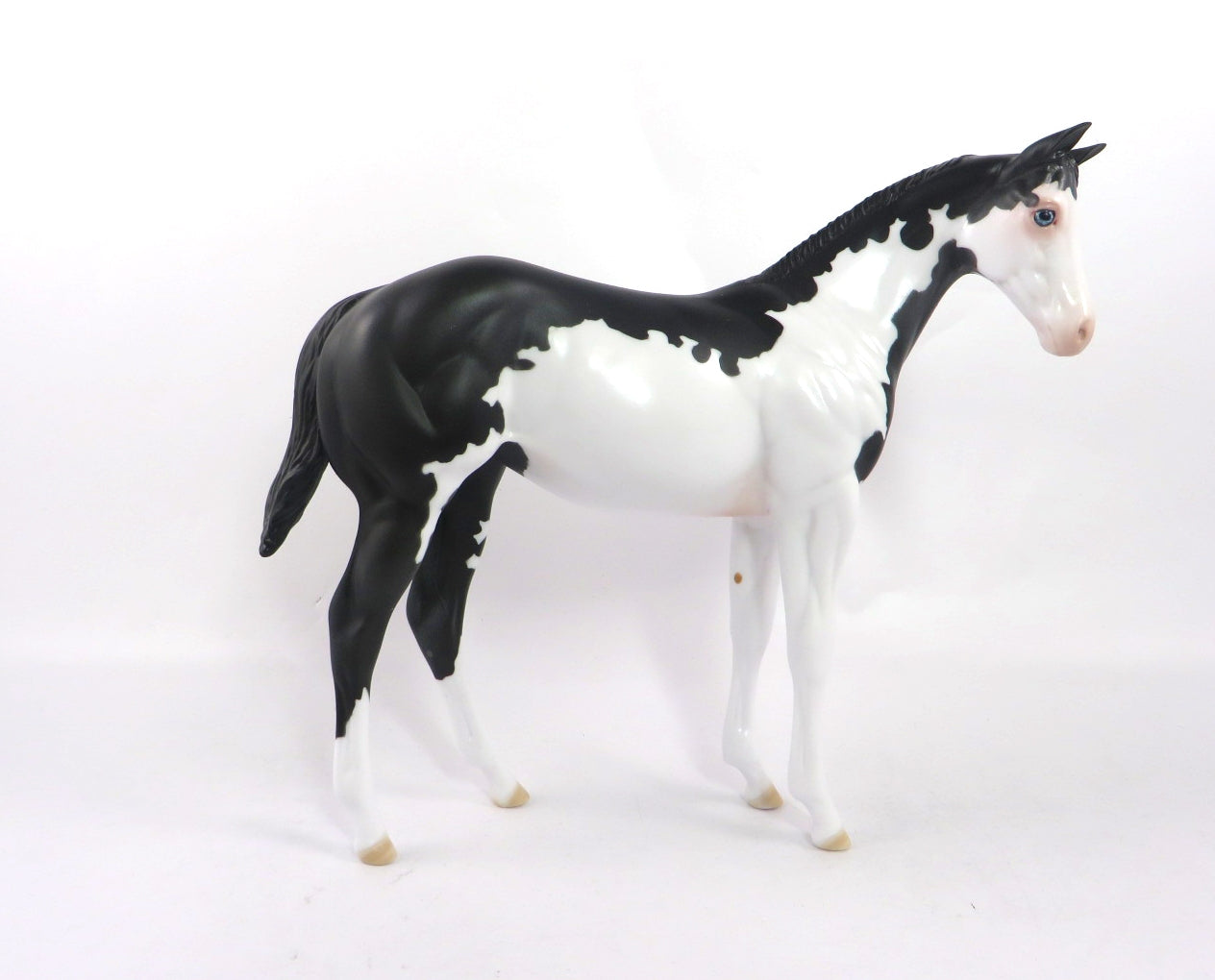 NILLY -OOAK BLACK & WHITE PINTO WEALING MODEL HORSE 1/7/2020