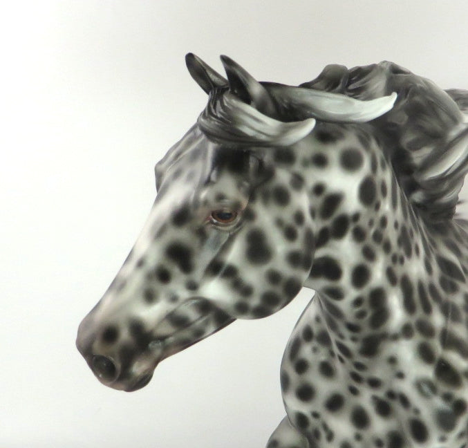NO BIZ LIKE SNOW BIZ-OOAK LOUD LEOPARD APPALOOSA BY SHERYL LEISURE 12/19/19