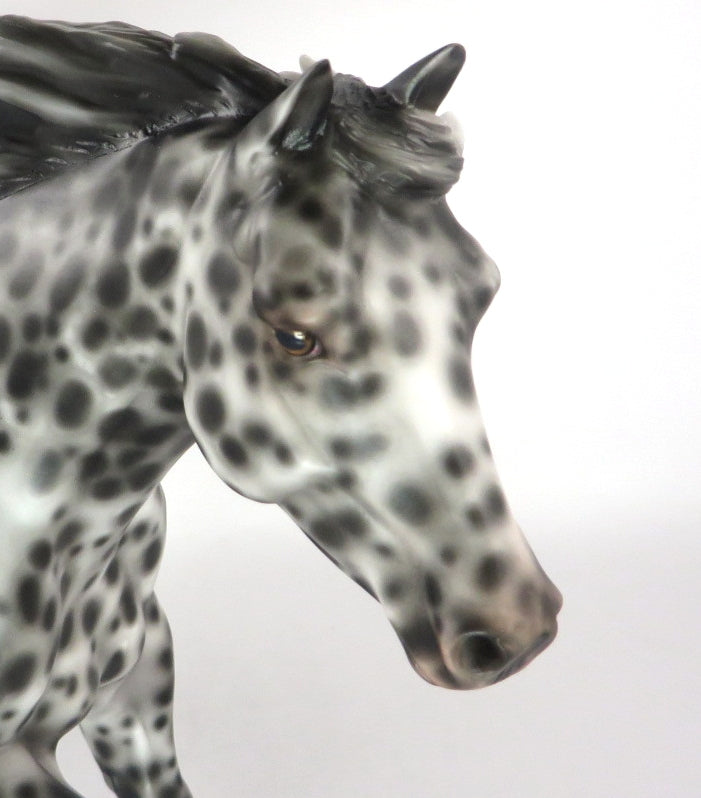 NO BIZ LIKE SNOW BIZ-OOAK LOUD LEOPARD APPALOOSA BY SHERYL LEISURE 12/19/19