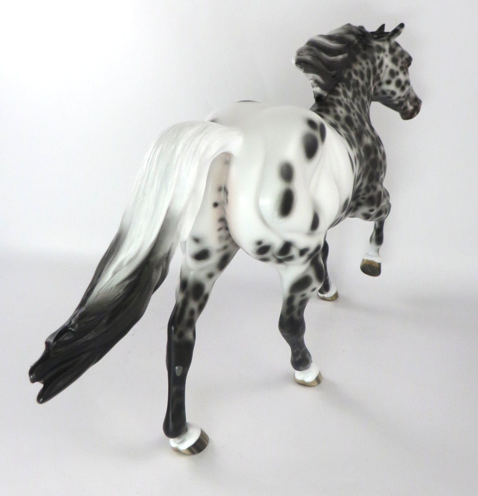 NO BIZ LIKE SNOW BIZ-OOAK LOUD LEOPARD APPALOOSA BY SHERYL LEISURE 12/19/19