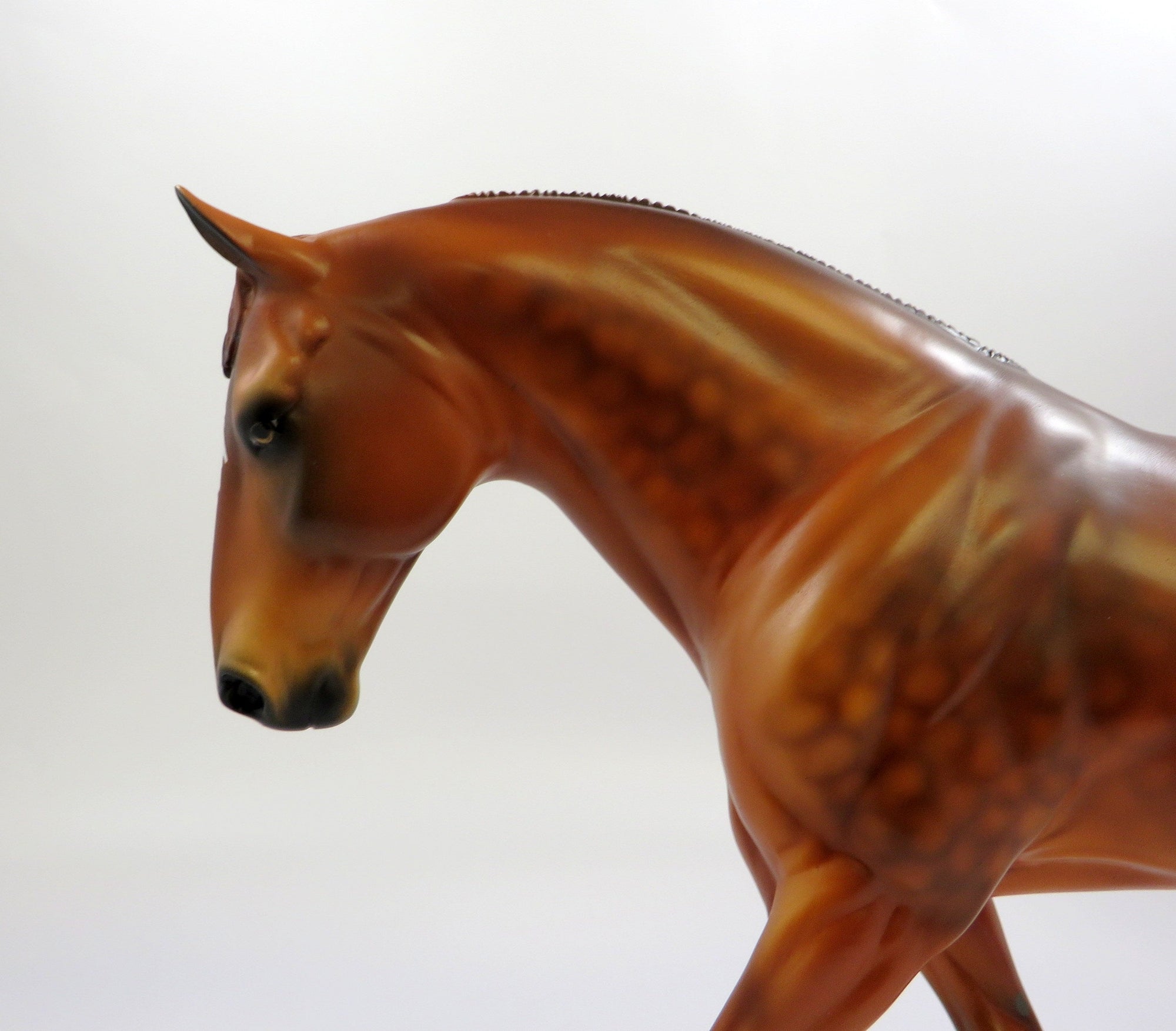 NOBELMAN-OOAK - DAPPLE CHESTNUT IRISH DRAFT MODEL HORSE EQ 2019