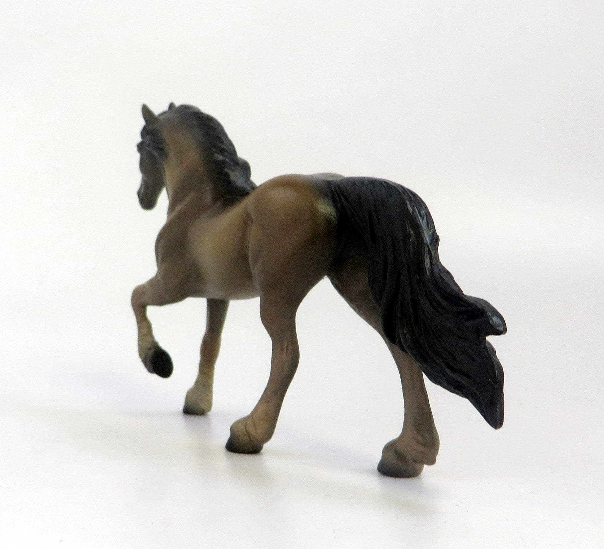 NOBLE-OOAK BAY FRESIAN CHIP EQ 2019