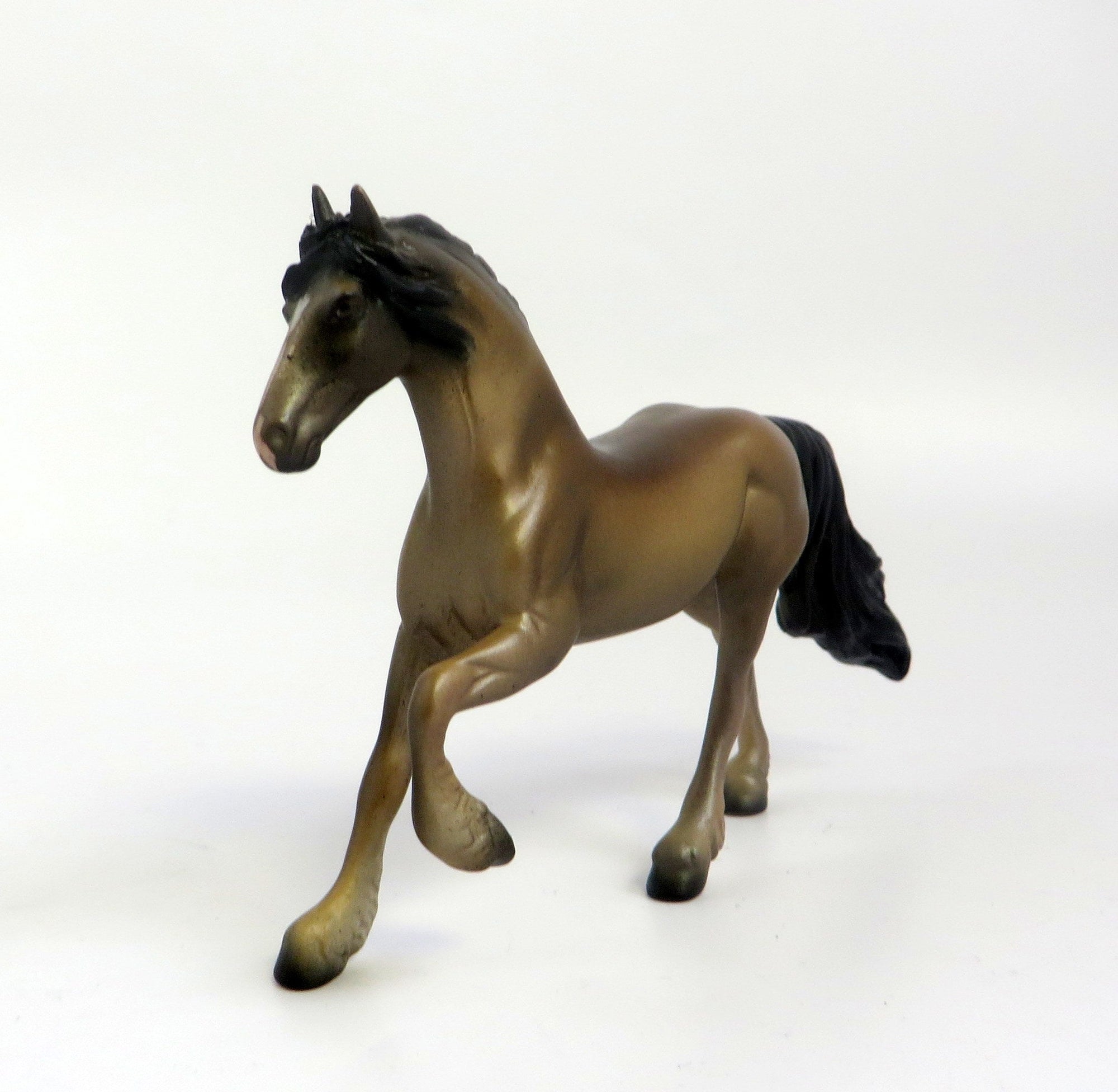 NOBLE-OOAK BAY FRESIAN CHIP EQ 2019