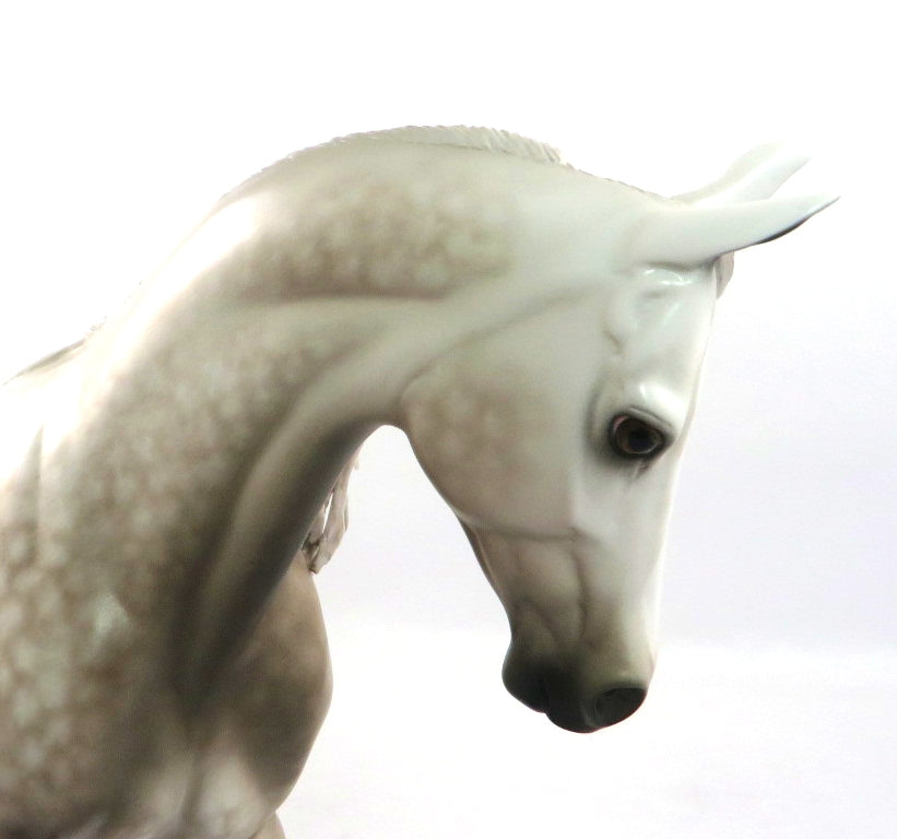 NOBLE-OOAK STAR DAPPLE GREY THOROUGHBRED MODEL HORSE BY SHERYL LEISURE 1/3/20