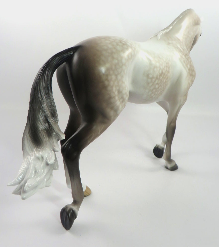 NOBLE-OOAK STAR DAPPLE GREY THOROUGHBRED MODEL HORSE BY SHERYL LEISURE 1/3/20