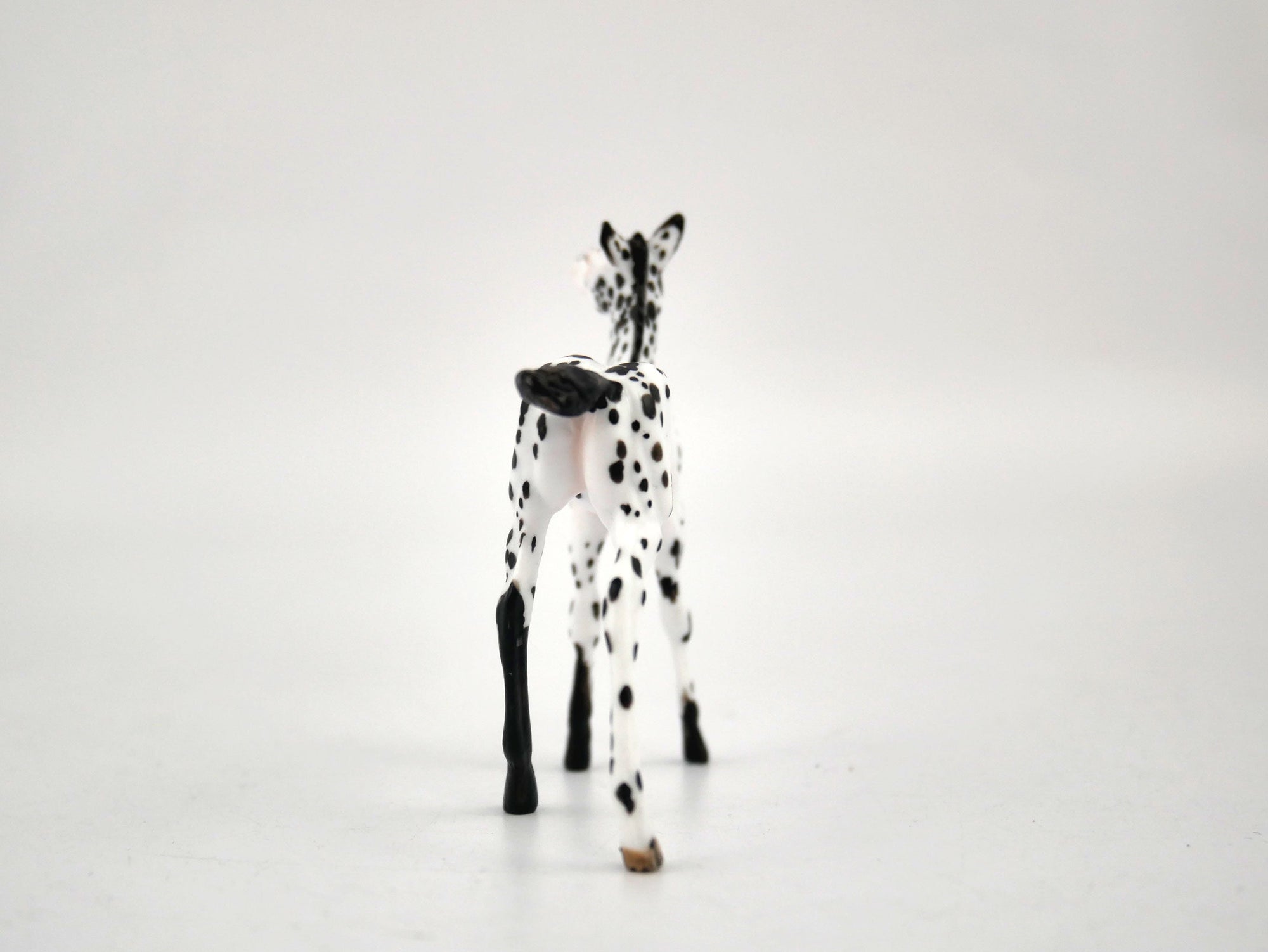 Noc Noc-OOAK Foal Appaloosa Chip By Andrea MM 2020