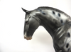 QUARTERBACK- LE-15 IRISH DRAFTER BLACK APPLOOSA  BY DAWN QUICK SB19
