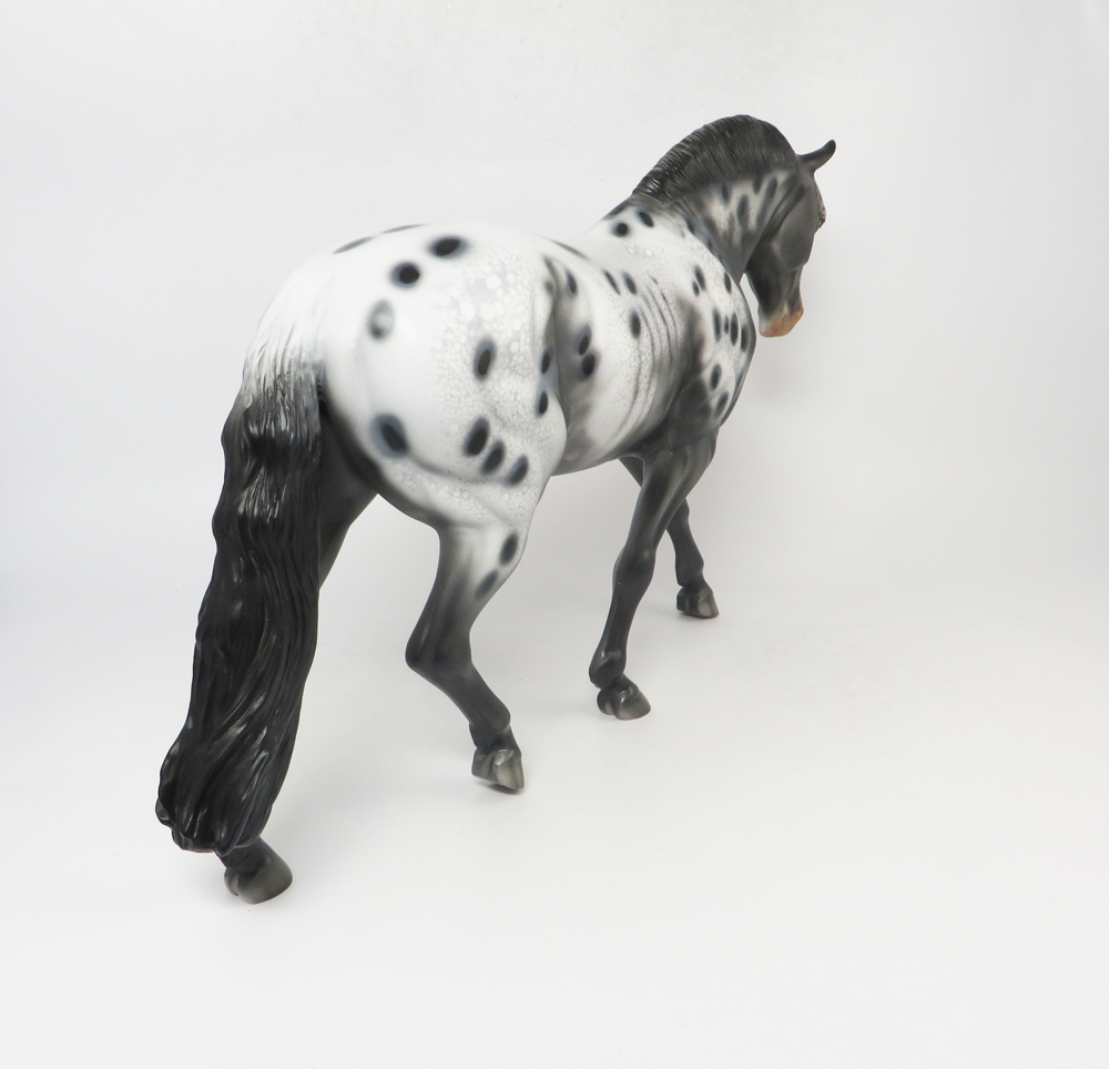 RUNNING BACK-LE15- APPALOOSA IRISH DRAFT SB2019