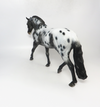 QUARTERBACK- LE-15 IRISH DRAFTER BLACK APPLOOSA  BY DAWN QUICK SB19