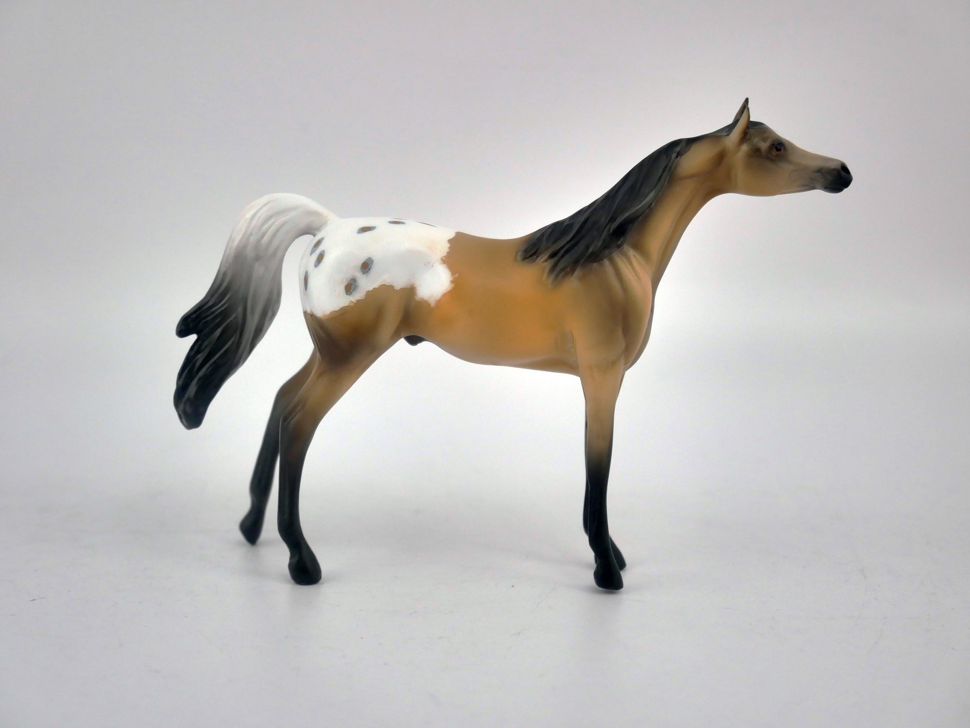 NUTHATCH-OOAK BUCKSKIN APPALOOSA CHIP BY KAYLA