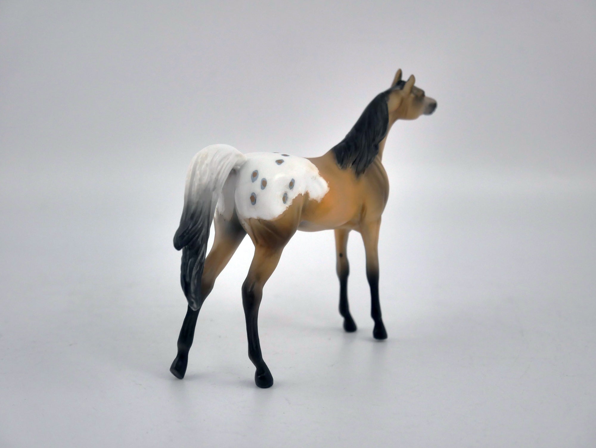 NUTHATCH-OOAK BUCKSKIN APPALOOSA CHIP BY KAYLA